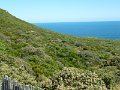 Capepoint5-2014